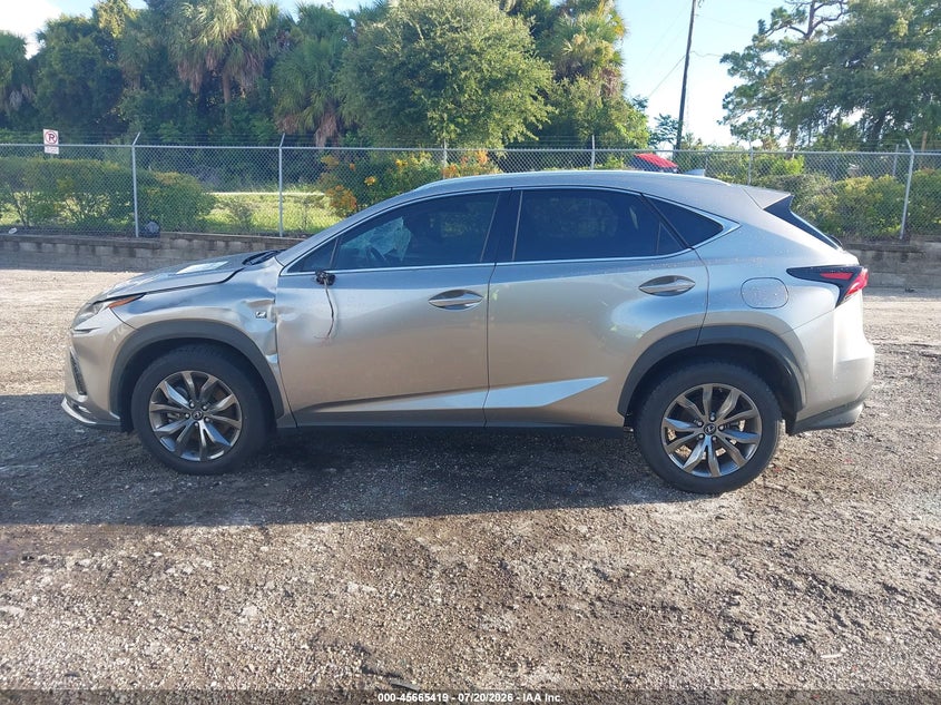 2020 Lexus Nx 300 F Sport VIN: JTJJARBZ3L5012679 Lot: 45665419