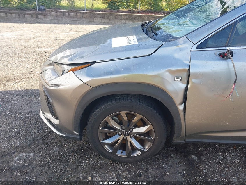 2020 Lexus Nx 300 F Sport VIN: JTJJARBZ3L5012679 Lot: 45665419