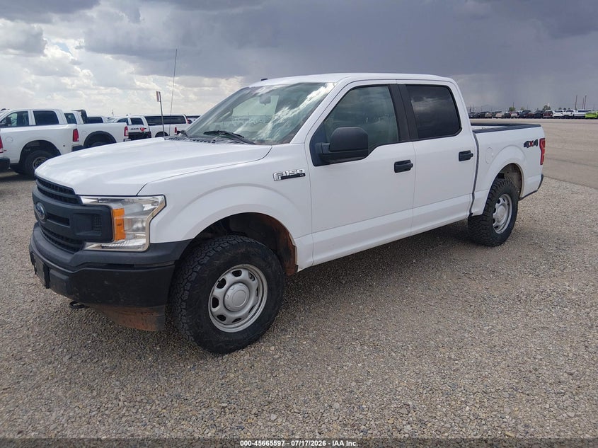 Vin: 1ftew1eb2jkf08495, lot: 46164169, ford f-150 xl 20182