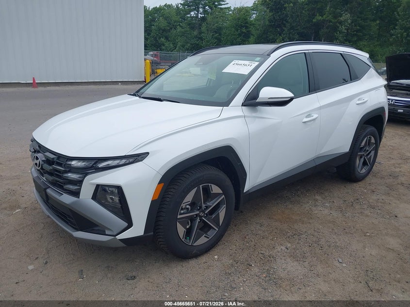2025 Hyundai Tucson Hybrid Sel Convenience VIN: KM8JCDD16SU386744 Lot: 45665651