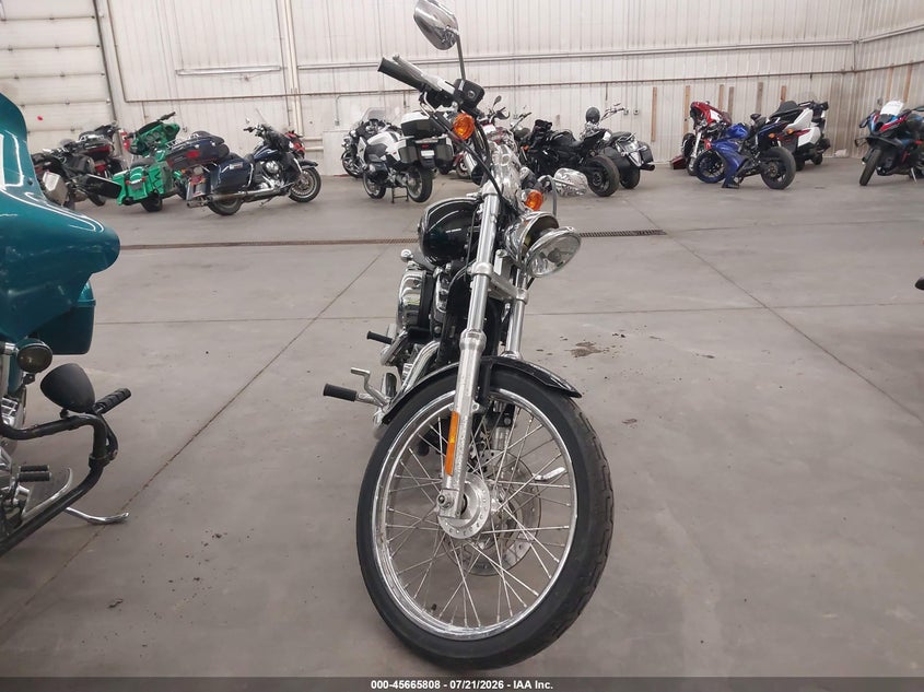 2009 Harley-Davidson Xl1200 C VIN: 1HD1CT3139K450629 Lot: 45665808