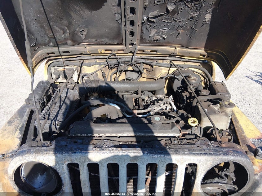 2001 Jeep Wrangler Sport VIN: 1J4FA49S21P334102 Lot: 45665814