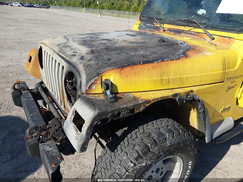 2001 Jeep Wrangler Sport VIN: 1J4FA49S21P334102 Lot: 45665814