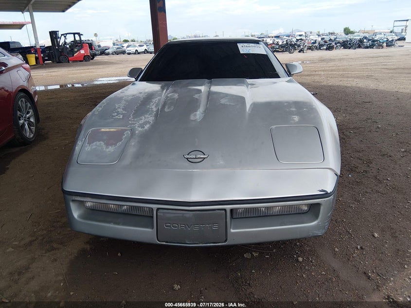 1985 Chevrolet Corvette VIN: 1G1YY078XF5101509 Lot: 45665939