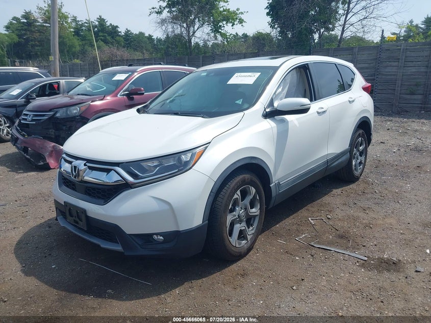 2019 Honda CR-V, Правий бік, IAAI, VIN 2HKRW2H51KH610075 — фото 2