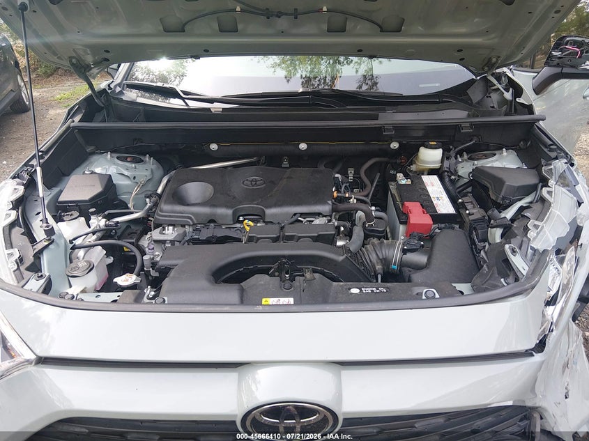 2019 Toyota Rav4 Xle VIN: JTMP1RFVXKD022781 Lot: 45666410