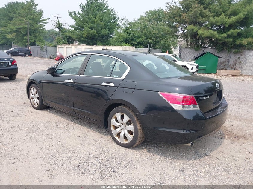 AtlanticExpress - Honda Accord