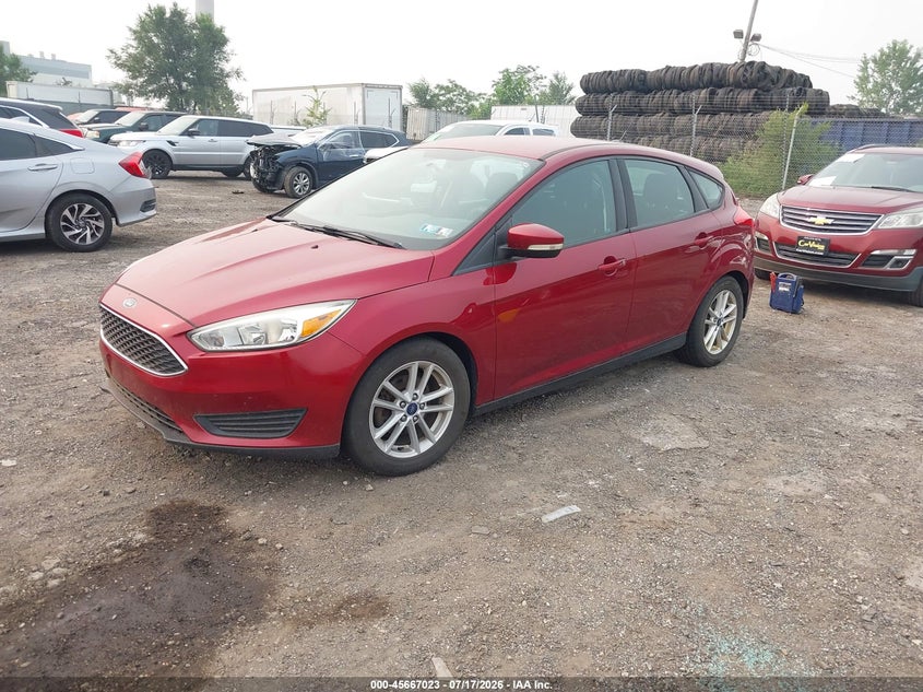 AtlanticExpress - Ford Focus