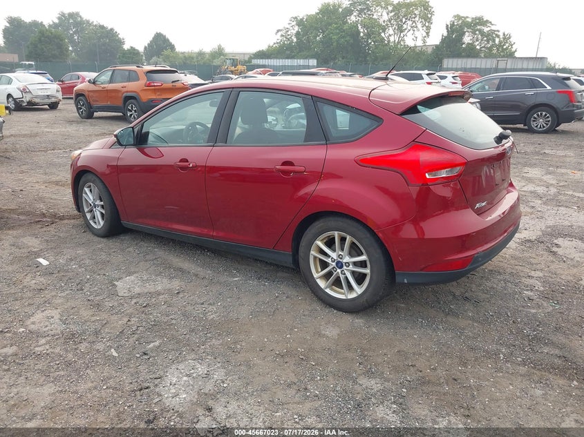 AtlanticExpress - Ford Focus