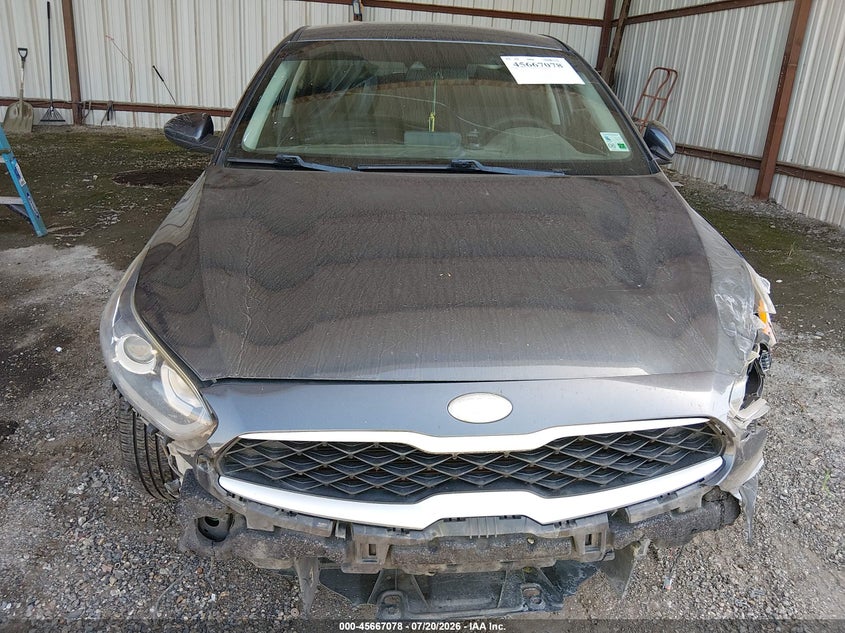 2019 Kia Forte Lxs VIN: 3KPF24AD7KE125939 Lot: 45667078