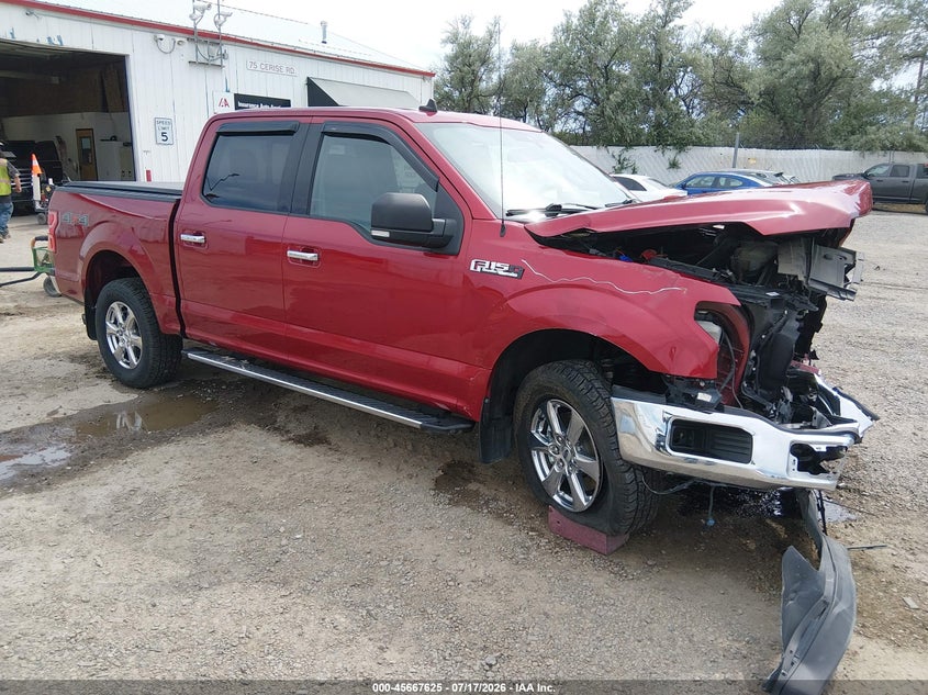 Vin: 1ftew1e43kke22874, lot: 46166197, ford f-150 xlt 2019 img_1