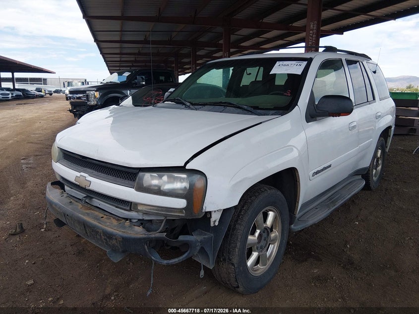2002 Chevrolet Trailblazer Ltz VIN: 1GNDS13S522476533 Lot: 45667718