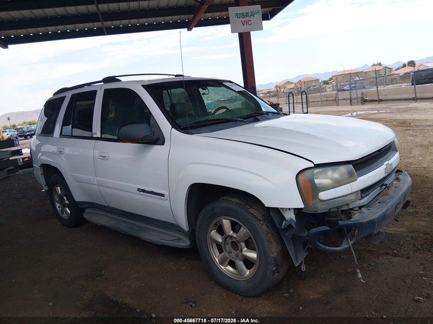 2002 Chevrolet Trailblazer Ltz VIN: 1GNDS13S522476533 Lot: 45667718