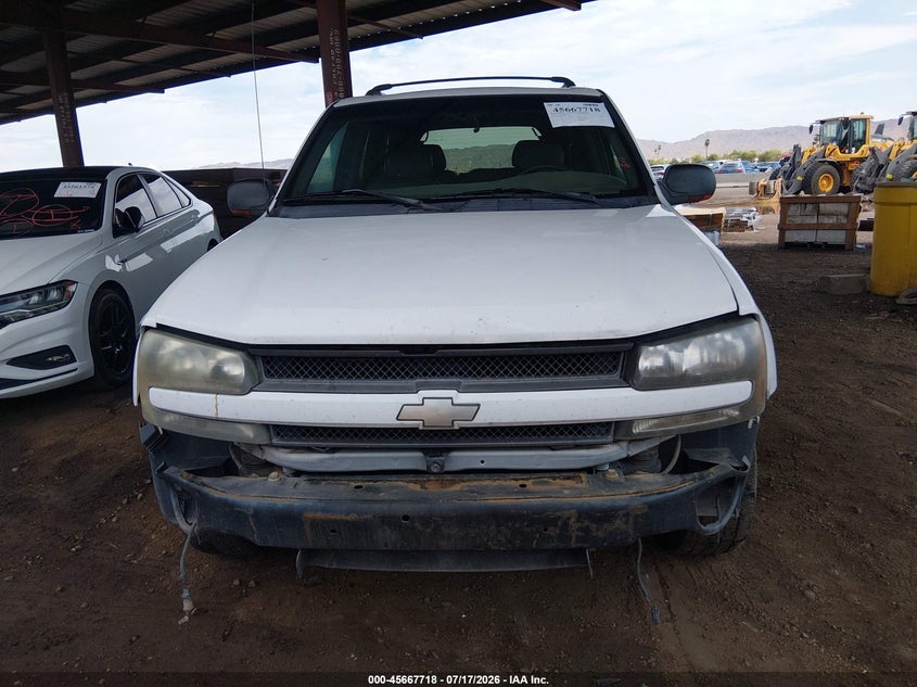 2002 Chevrolet Trailblazer Ltz VIN: 1GNDS13S522476533 Lot: 45667718