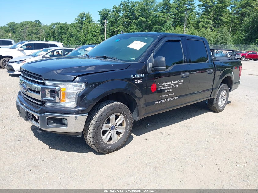 Vin: 1ftew1e55kfa63853, lot: 46166316, ford f-150 xlt 20192