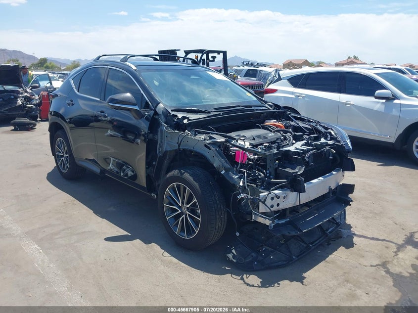 2025 LEXUS NX 350H auction photo 1