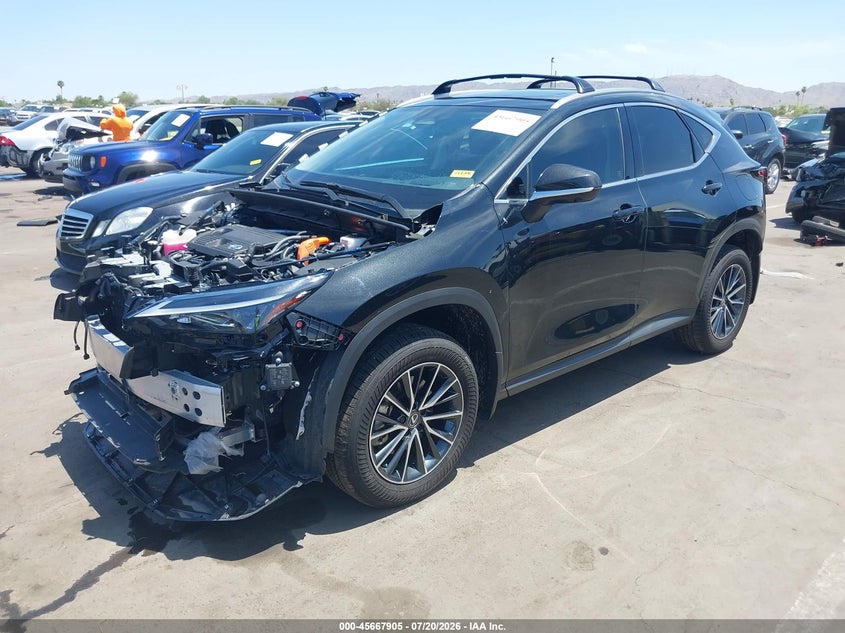 2025 LEXUS NX 350H auction photo 2