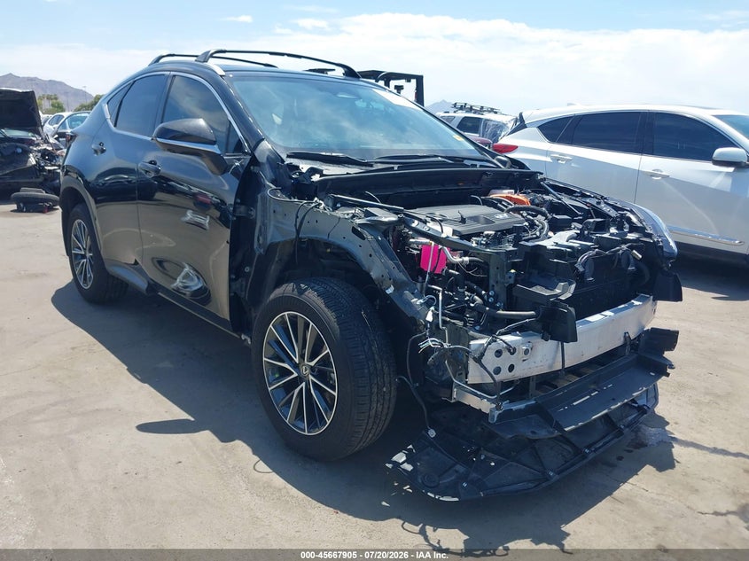 2025 LEXUS NX 350H auction photo 6
