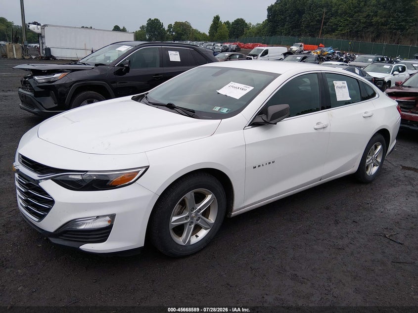 Vin: 1g1zb5st6kf133067, lot: 46167189, chevrolet malibu 1ls 20192