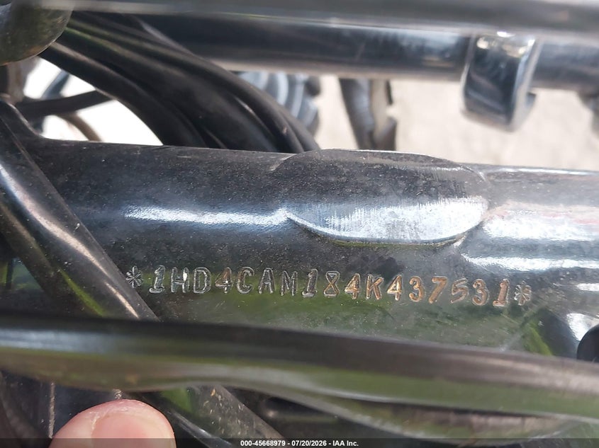 2004 Harley-Davidson Xl883 VIN: 1HD4CAM184K437531 Lot: 45668979