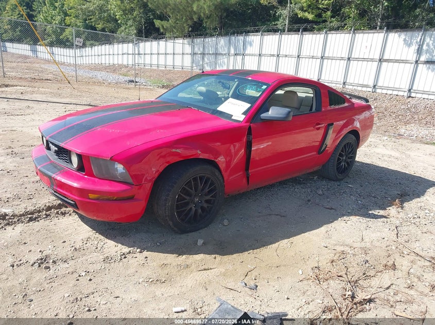2005 Ford Mustang V6 Deluxe/V6 Premium VIN: 1ZVFT80N255159895 Lot: 45669577