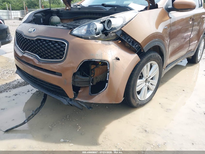 2019 Kia Sportage Lx VIN: KNDPM3AC3K7622020 Lot: 45669687