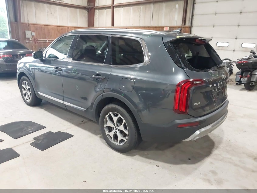 2020 Kia Telluride Ex VIN: 5XYP3DHCXLG031122 Lot: 45669837