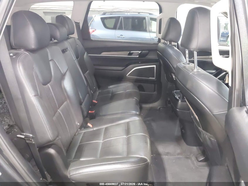 2020 Kia Telluride Ex VIN: 5XYP3DHCXLG031122 Lot: 45669837