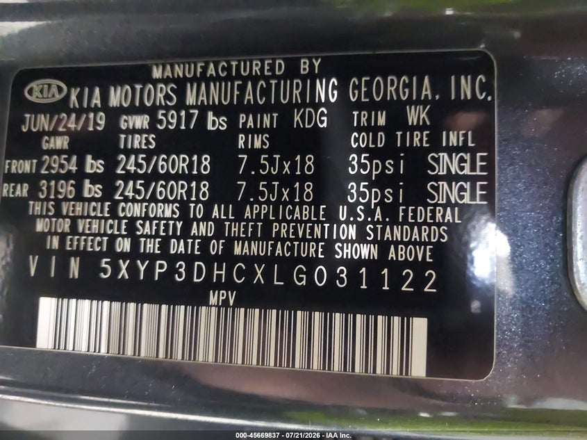 2020 Kia Telluride Ex VIN: 5XYP3DHCXLG031122 Lot: 45669837