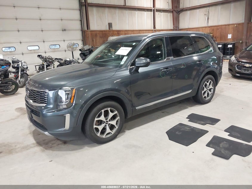 2020 Kia Telluride Ex VIN: 5XYP3DHCXLG031122 Lot: 45669837