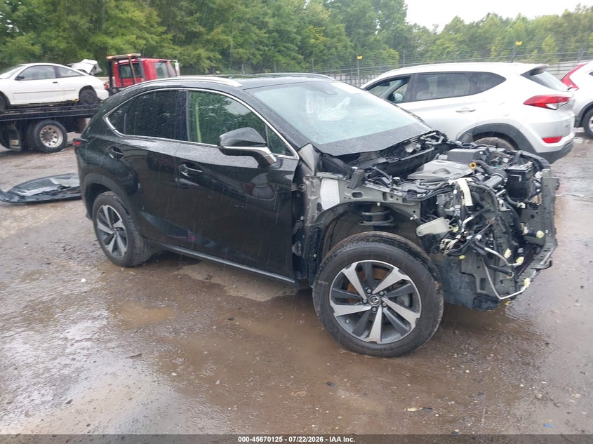 Vin: jtjgardz2l5003673, lot: 46168725, lexus nx 300 2020 img_1