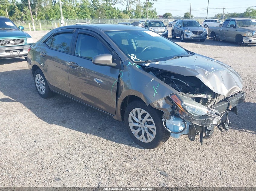 2019 Toyota Corolla