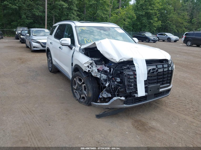2023 Hyundai Palisade Sel VIN: KM8R4DGE0PU636808 Lot: 45670489