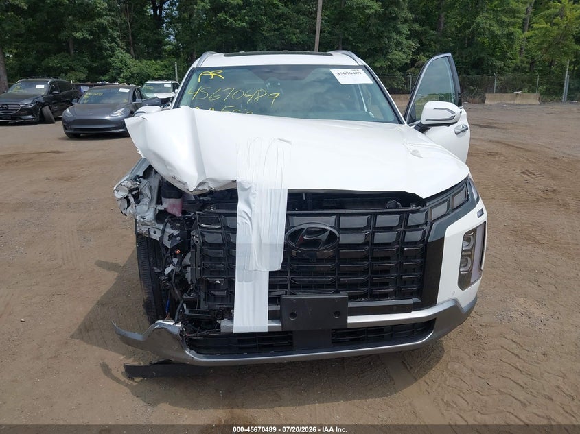 2023 Hyundai Palisade Sel VIN: KM8R4DGE0PU636808 Lot: 45670489