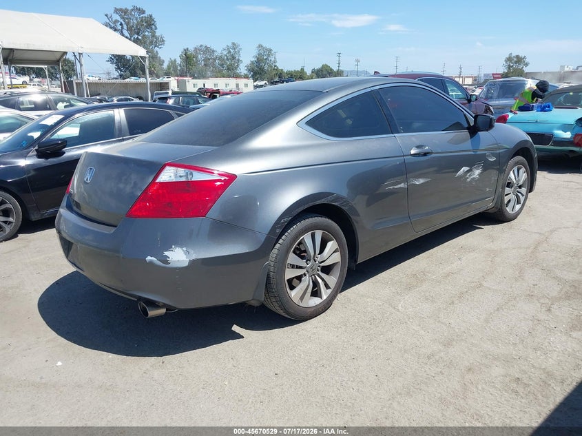 AtlanticExpress - Honda Accord
