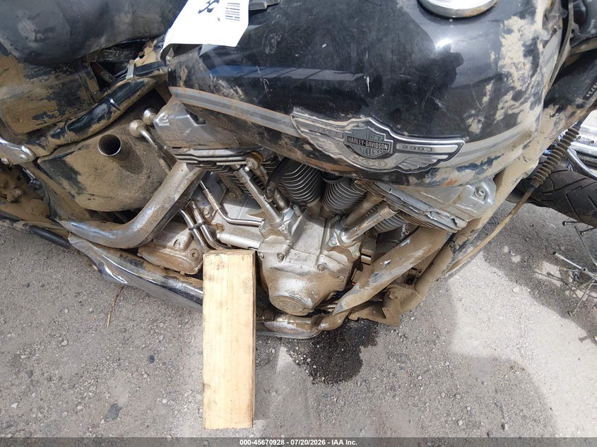 2003 Harley-Davidson Fxst VIN: 1HD1BHY1X3Y049673 Lot: 45670928