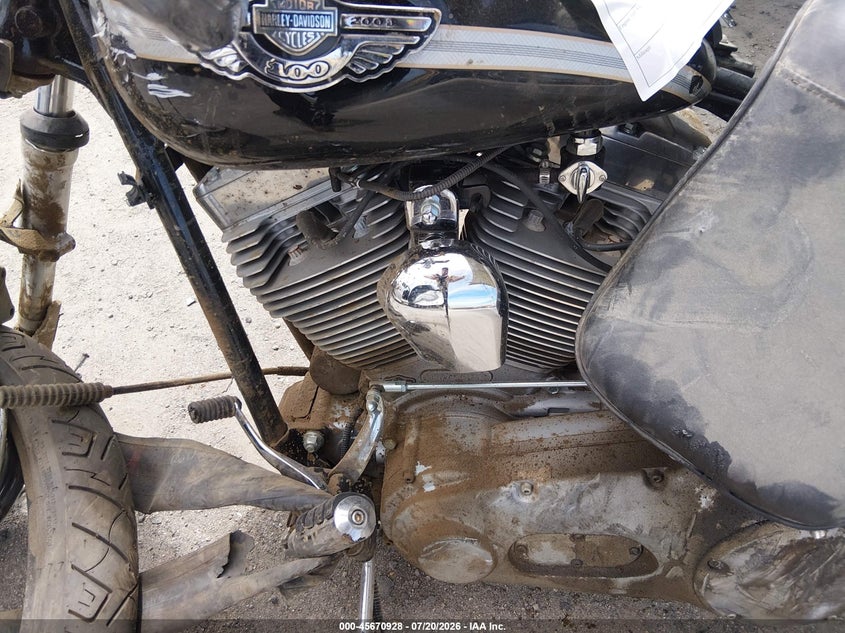 2003 Harley-Davidson Fxst VIN: 1HD1BHY1X3Y049673 Lot: 45670928