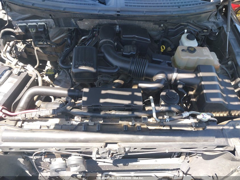 2010 Ford F-150 Fx4/Harley-Davidson/King Ranch/Lariat/Platinum/Xl/Xlt VIN: 1FTFW1EV0AFC16934 Lot: 45671130