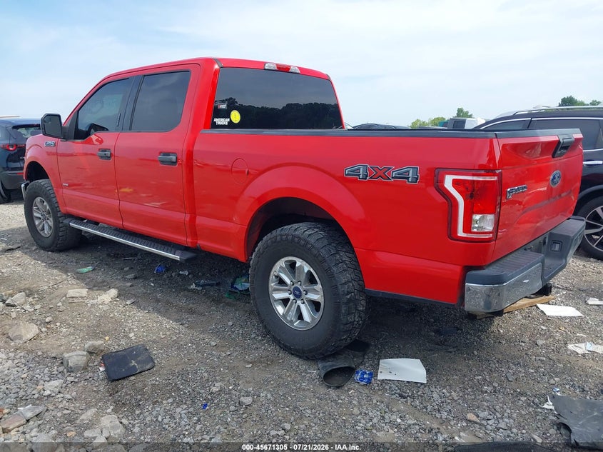 2015 Ford F-150 Xlt VIN: 1FTFW1EGXFFA80675 Lot: 45671305
