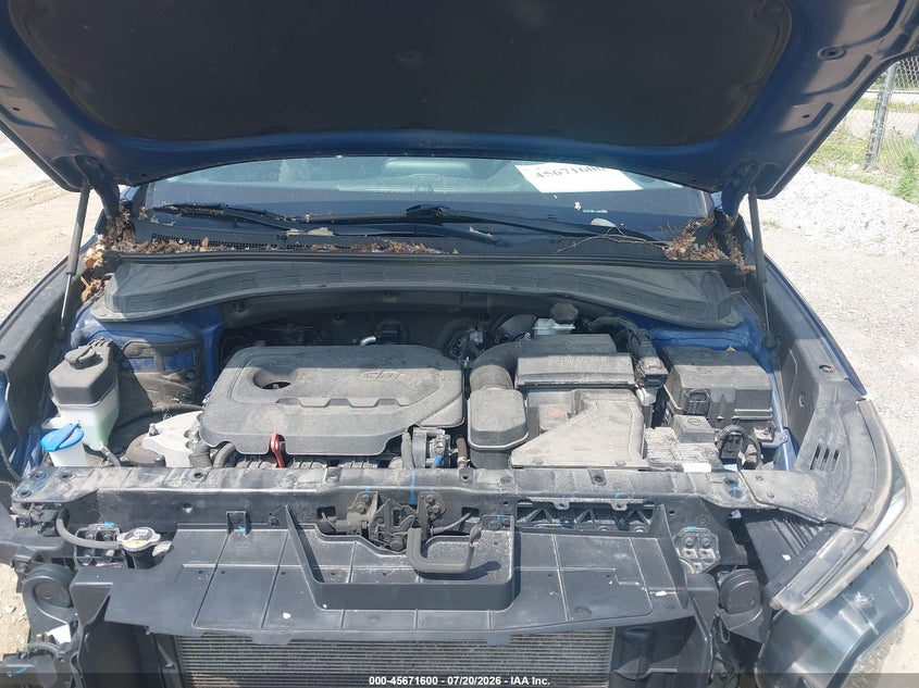 2020 Hyundai Santa Fe Sel VIN: 5NMS3CAD9LH236637 Lot: 45671600