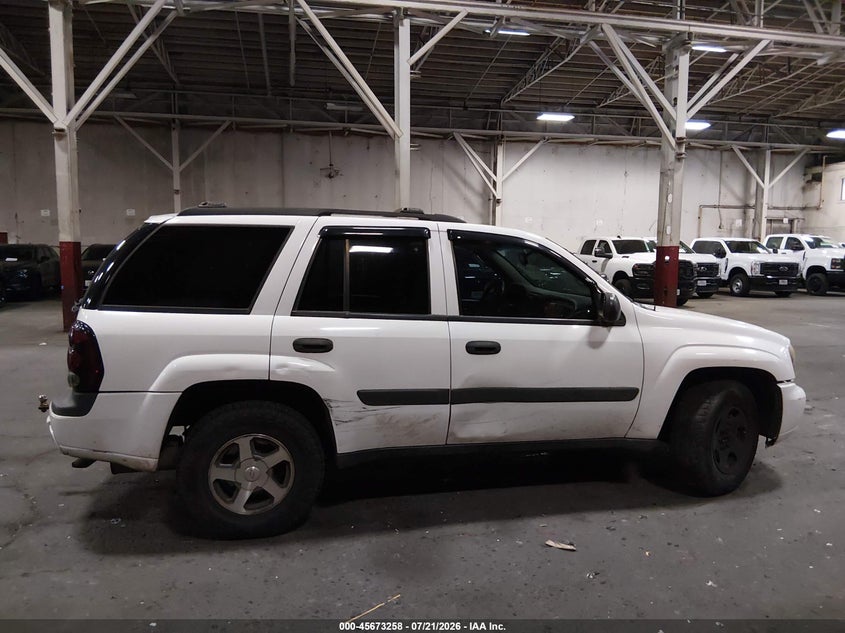 2005 Chevrolet Trailblazer Ls VIN: 1GNDT13S652239437 Lot: 45673258
