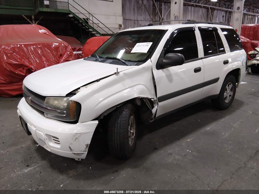 2005 Chevrolet Trailblazer Ls VIN: 1GNDT13S652239437 Lot: 45673258