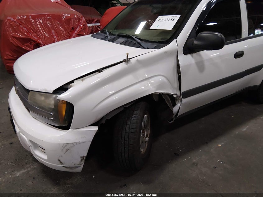 2005 Chevrolet Trailblazer Ls VIN: 1GNDT13S652239437 Lot: 45673258