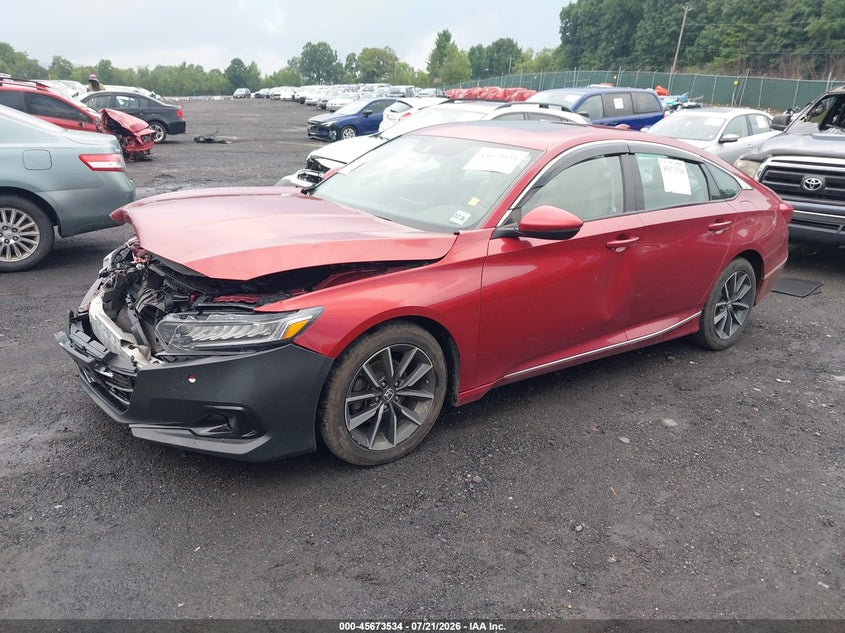 2022 Honda Accord Ex-L VIN: 1HGCV1F53NA006448 Lot: 45673534