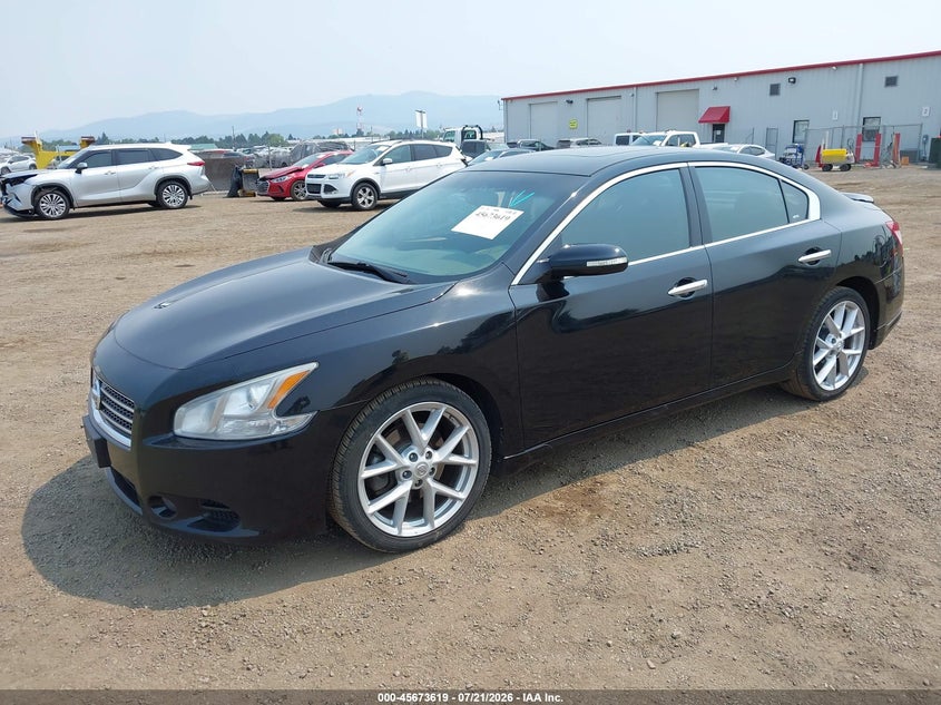 2009 Nissan Maxima 3.5 Sv VIN: 1N4AA51E79C818593 Lot: 45673619