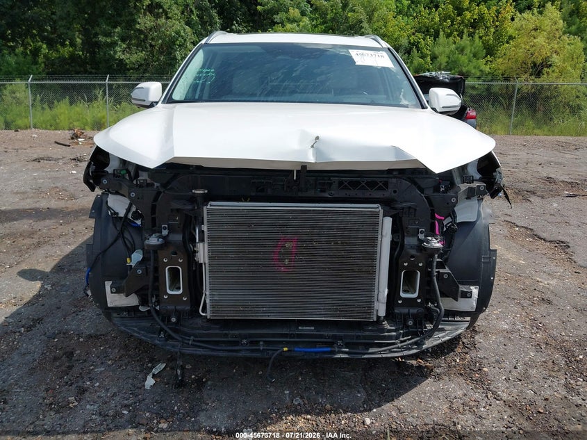 2025 Hyundai Palisade Calligraphy VIN: KM8R74GE4SU883863 Lot: 45673718