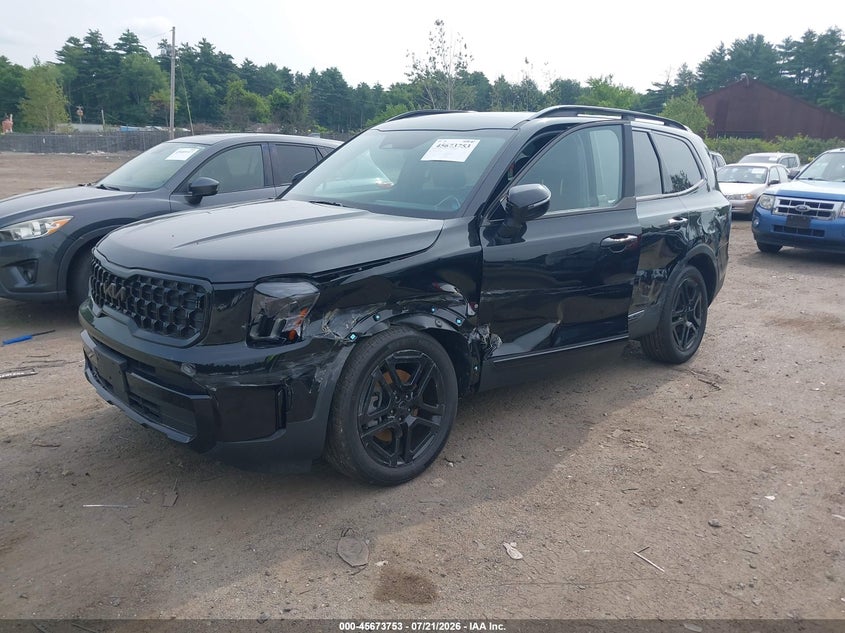 2025 Kia Telluride Ex X-Line VIN: 5XYP3DGC9SG640959 Lot: 45673753