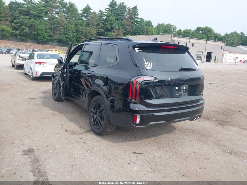 2025 Kia Telluride Ex X-Line VIN: 5XYP3DGC9SG640959 Lot: 45673753