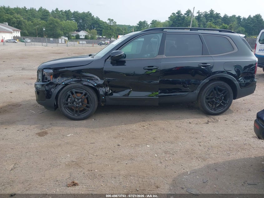 2025 Kia Telluride Ex X-Line VIN: 5XYP3DGC9SG640959 Lot: 45673753