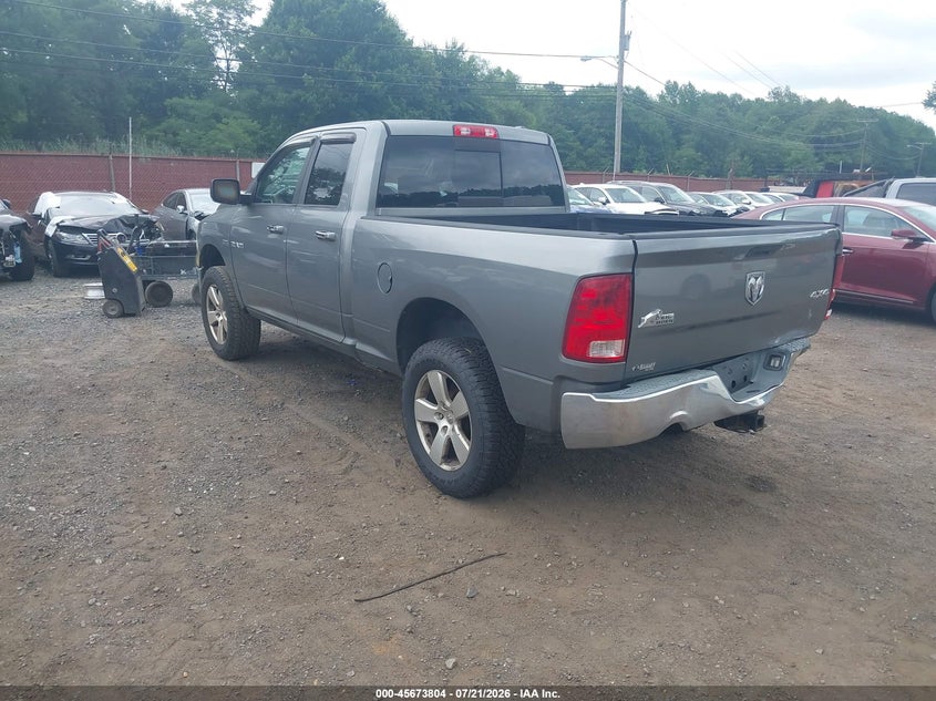 2010 Dodge Ram 1500 Slt/Sport/Trx VIN: 1D7RV1GT4AS192193 Lot: 45673804